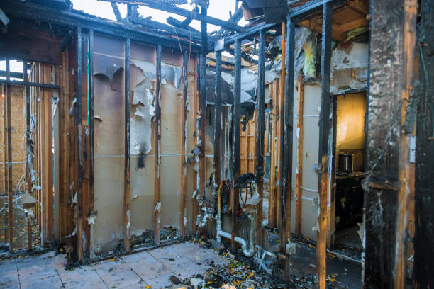 Professional Fire Damage Removal technician working in Plymouth, OH